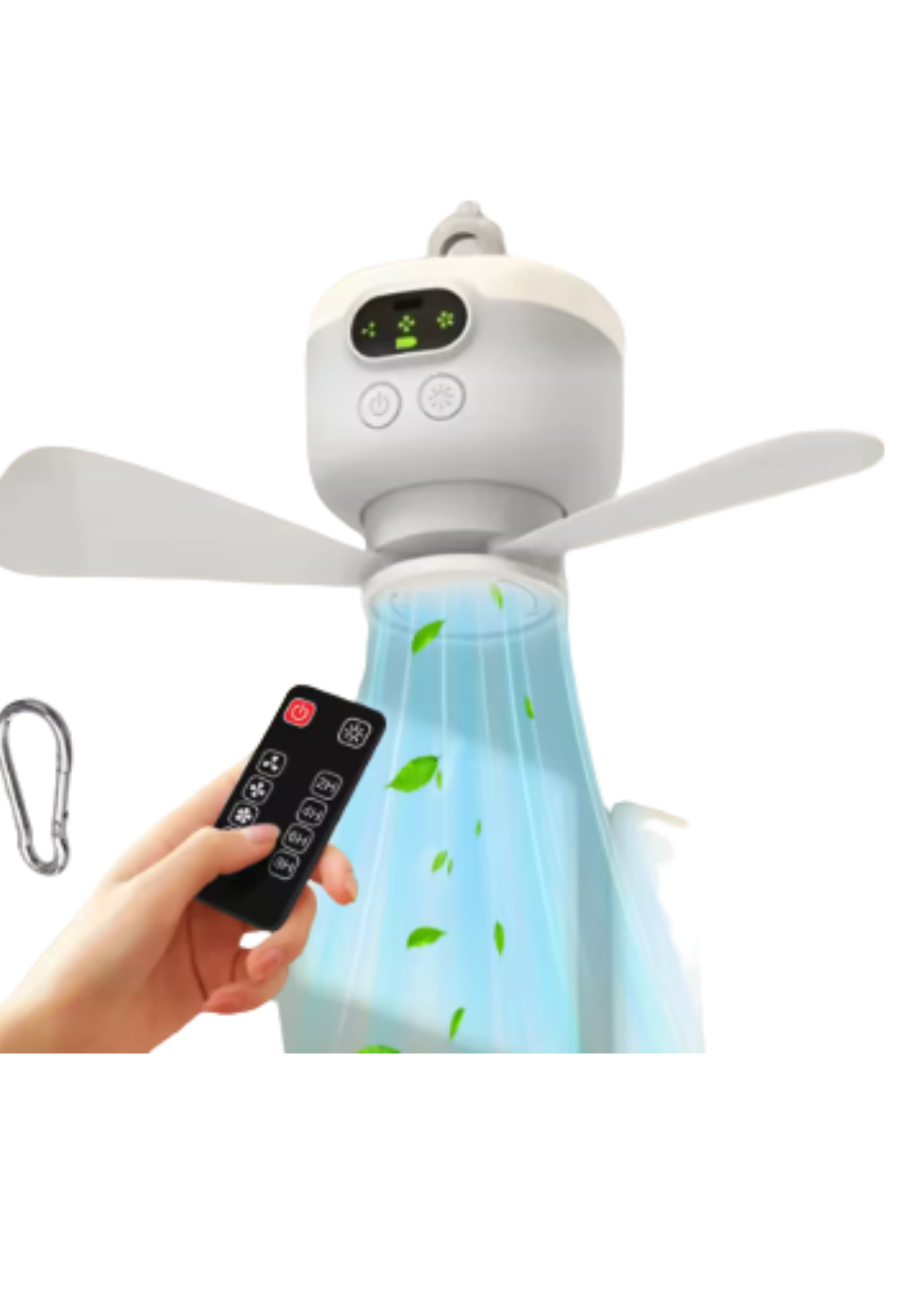 summer promotion